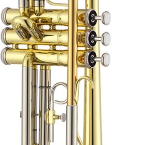 Jupiter JTR700 standard Bb Trumpet has a lacquered brass body w/stainless steel pistons. This free blowing, well-balanced instrument is designed to be comfortable for the young player and beginner having a full sound w/good intonation & easy response.