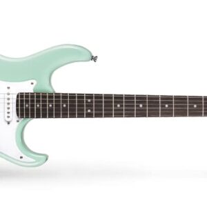 Cort G110-CGN Caribbean Green double cutaway has classic styling, comfort, and easy access to the high notes of the fretboard.This popular pickup configuration with the 5-way switch provides a wide variety of sounds to cover virtually any musical style.
