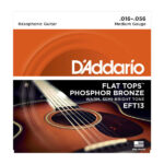 D'Addario EFT13 Medium Resophonic Guitr Strings 16-56
