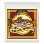 Ernie Ball 2012EB Earthwood 80/20 Bronze 12-String Medium Strings 11-52