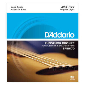 D'Addario EPBB170 Phosphor Bronze Acoustic Bass Long Scale 45-100