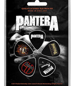 Pantera (Vulgar Display) Guitar Picks