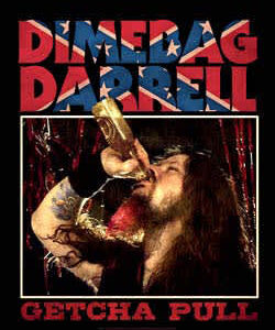 Dimebag (Darrel) Flag