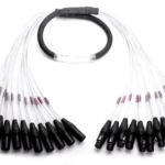 Digiflex DPR-24FX/24MX-10 10ft 24-Channel Premium Multichannel XLRM to XLRF Cable