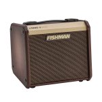 Fishman PRO-LBT-400 Loudbox Micro 40-watt Lightweight Acoustic Combo Amp